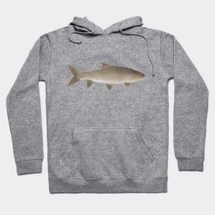 Soro Brook Carp Hoodie